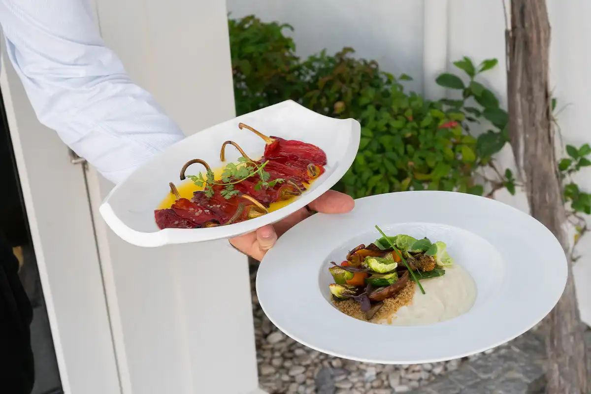 Platos de VINUM
